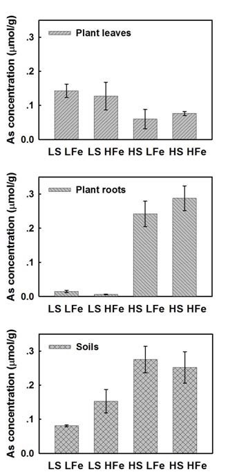 Comparative As concentrations for low and high SO4 2- treatments in soils, plant roots, and leaves after exposure to 55 μM As(V) for 115 days