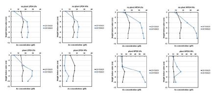 Time course depth profiles of As levels in mesocosm reactors in various conditions (LFe: low Fe (no ferrihydrite addition), HFe: high Fe (20μM ferrihydrite /g soil); no plant: without plant, plant: with plant) under low phosphate (LPO4: 5μM) and high phosphate (HPO4: 500μM) treatments.