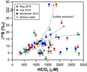 Sulfate reduction의 가능성을 보여주는 δ34S값과 HCO3-의 관계