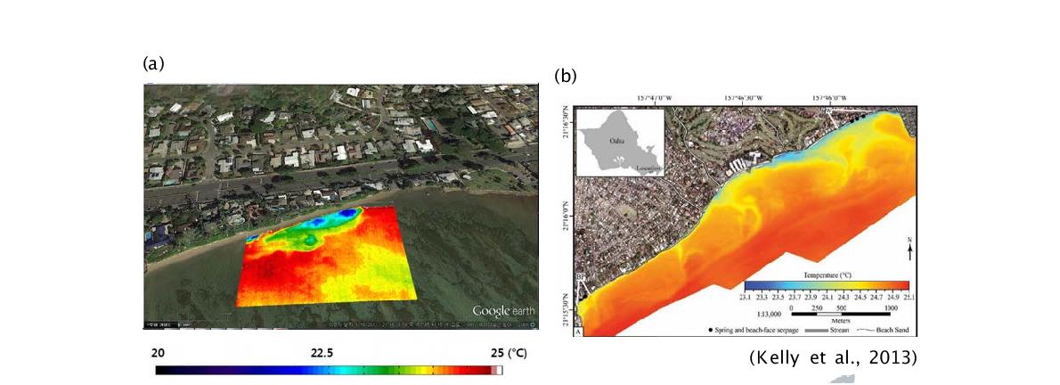 Wailupe Beach 항공탐사 결과 (a) UAV 영상 (b) 유인항공촬영 영상