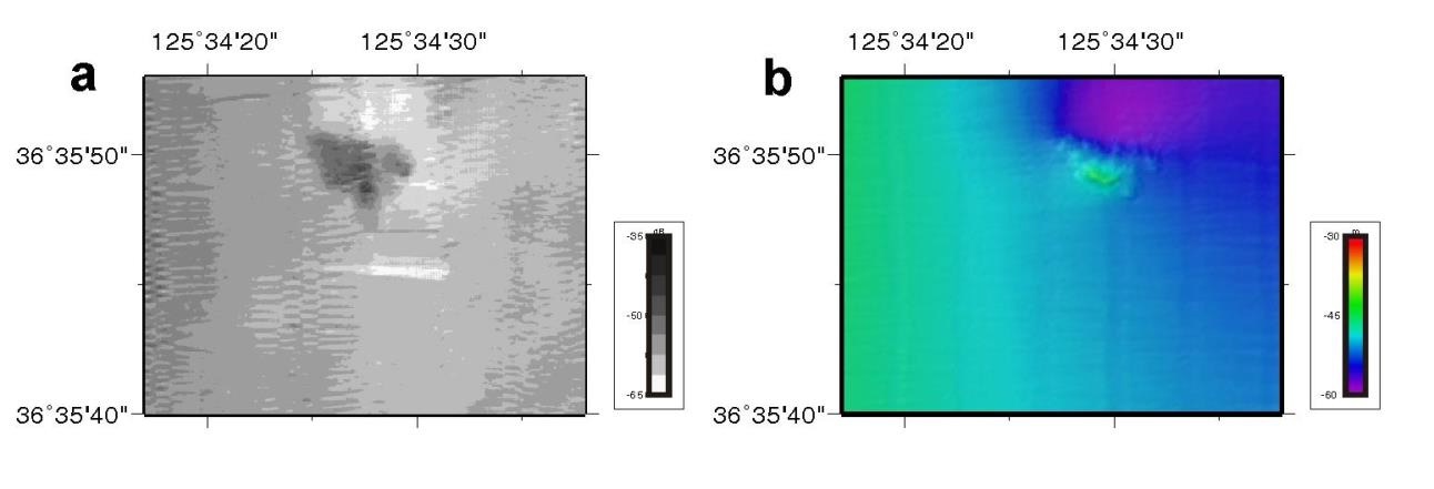 그림 3.3.51 A1 지역의 후방산란 이미지(a), 해저지형도(b)