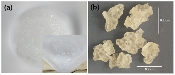 Fig. 3-4-6. (a) Si-rich gel formation in extracted solution and (b) dried after filtering (a) uisng 0.2 ㎛ membrane filter.