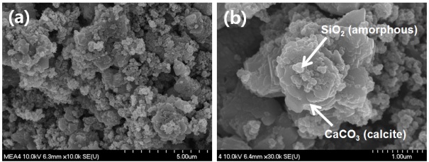 Fig. 3-4-11. FE-SEM images of carbonated product using 1 M monoethanolamine.