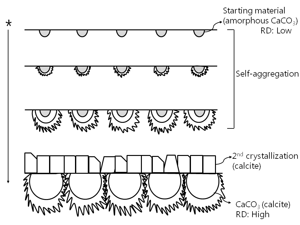 Fig 3-7-4. Schematic illustration of CaCO3 film formation. The direction of black star means the increase of retention time. RD is relative density