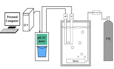 Fig. 3-11-1. Schematic diagram of the mineral carbonation test.