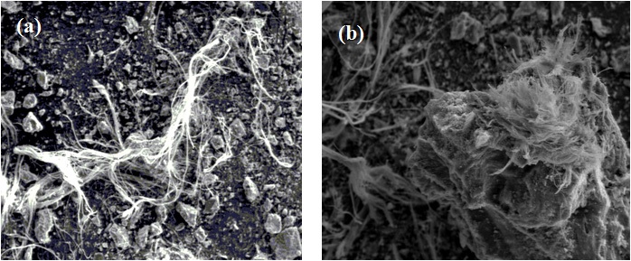 Fig. 3-11-4. SEM images of (a) unreacted slate and (b) reacted slate with 1 M ammonium acetate solution