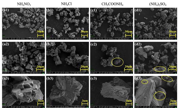 Fig. 3-1-10. SEM images of carbonate obtained from carbonation of extracted calcium