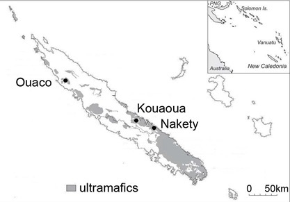 Fig. 3-3-1. Occurrences of ultramafic rocks in New Caledonia (Cho et al., 2011)