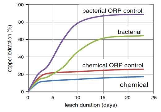 Enhanced copper extration at 50℃ from Chalcopyrite with bactreria and redox control