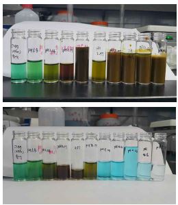 H2O2투입 후 pH별 샘플들의 필터 전(좌), 필터 후(우)의 모습