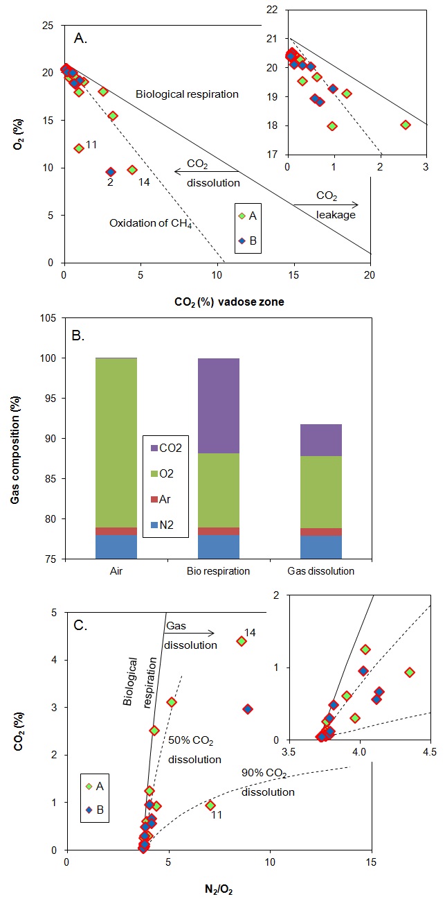 그림 3-122. 비포화대에서의 기체 조성 사이의 관계. (A) CO2-O2관계. 선과 화살표는 Romanak 외(2012)에 제시된 화학작용을 나타낸다. (B) 그림 3-121, 14지점에서 비포화대에서의 기체용해에 따른 성분 변화를 보여준다. (C) N2/O2-CO2관계. 점선은 기체 용해에 수반되는 비포화대에서의 N2/O2 및 CO2의 변화를 보여준다.