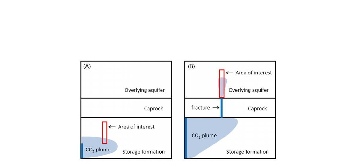그림 3-1. 이산화탄소 플룸의 거동 개념도. (A) 이산화탄소가 저장층 하부에 주입된 경우; (B) 이산화탄소가 덮개암의 균열대를 통해 누출되는 경우.