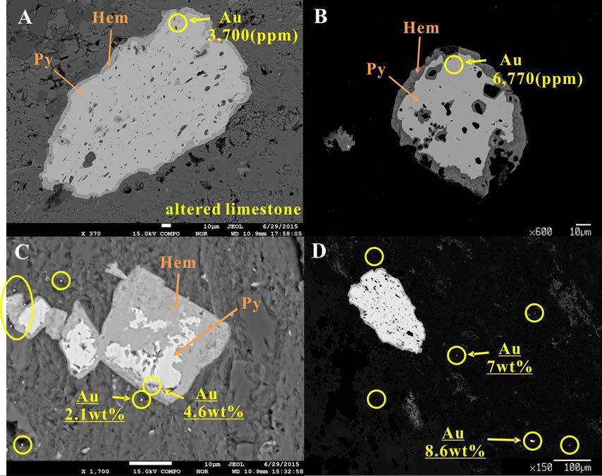 변질석회암(A, B, D) 및 적색기질 각력암(C)의 황철석과 기질부 석회암 내에서 산출되는 금의 산출 특성 및 함량