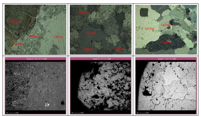 열수작용에 의해 형성된 갈색질 거정질 방해석 및 변질대, 경계부 및 모암에 대한 현미경사진 및 EPMA에 의한 BSEs