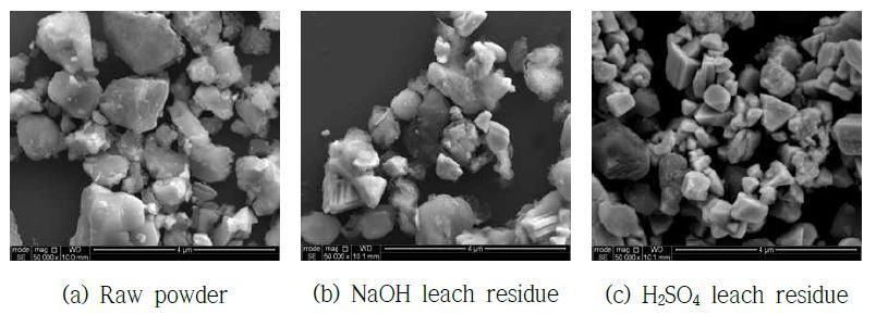 금속용매합금화 공정 원료 분말(고온산화 未처리)과 침출 잔사에 대한 주사전자현미경(SEM) 사진.
