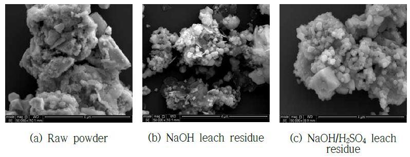 금속용매합금화 및 고온산화 공정 처리 후 원료 분말과 침출 잔사에 대한 주사전자현미경(SEM) 사진.