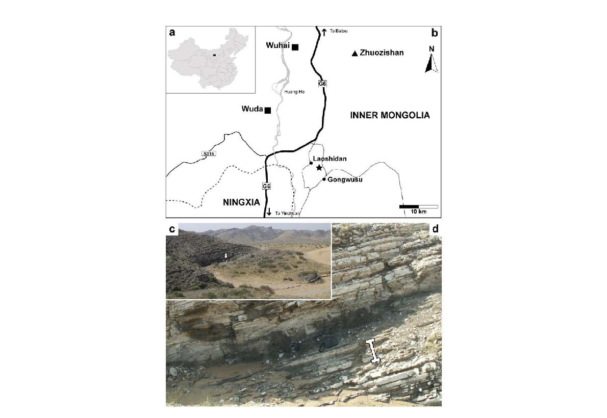 화석이 산출된 위치와 지층 단면.
