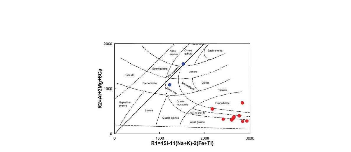 알카리 각섬석-흑운모화강암을 R1-R2 분류도표에 나타낸 그림.