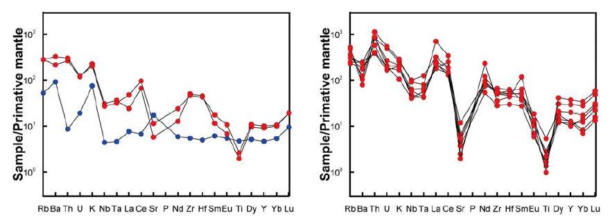 알카리 각섬석-흑운모화강암의 미량원소 변화 도표