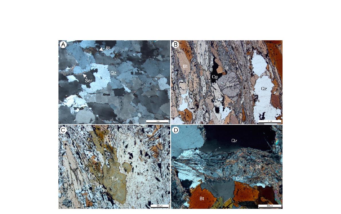 장봉도의 변성사질암(A)과 이질편암(B, C, D)의 편광현미경 사진(A와 D 직교니콜,B와 C 개방니콜). 광물약어: Bt, 흑운모; Crd, 근청석; Gnt, 석류석; Ms, 백운모; Op, 불투명 광물; Pl, 사장석; Qtz, 석영; Sil, 규선석; Tur, 전기석.