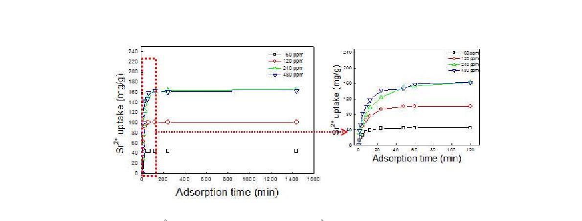 Sr2+ uptake obtained by Na-A zeolite (Sr2+ Conc. : 60~480 ppm, 1g-zeolite/1L-sol.).