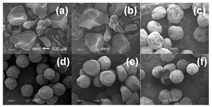 0.01 M (a), 0.05 M (b), 0.1 M (C), 0.5 M (d), 1 M (e) and 2 M (f) CaCl2 용액 사용 시 합성된 알긴산 비드의 SEM image.