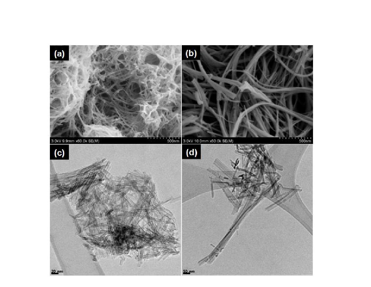 SEM images of (a) TiNT-S and (b) TiNT-L, and TEM images of (c) TiNT-S and (d) TiNT-L.