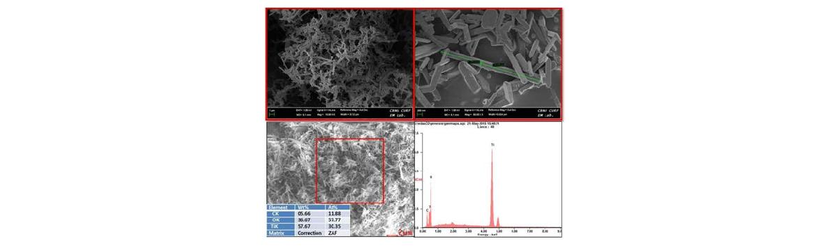 TiO2 나노와이어의 SEM image와 SEM EDAX 데이터.