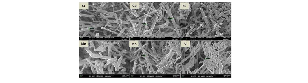 다양한 금속이 도핑된 TiO2 나노와이어의 SEM image 데이터.