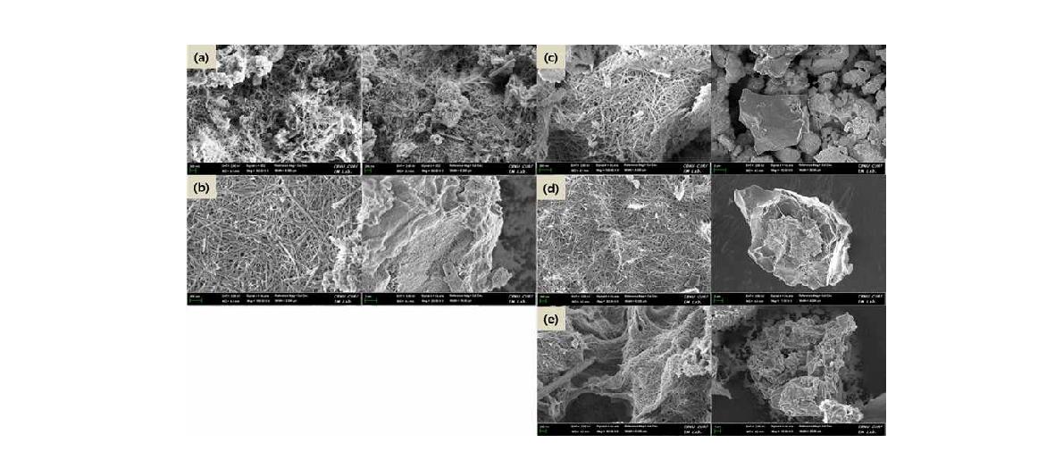 Activated Carbon(AC)의 함량에 따른 AC/TNT 복합소재의 SEM images.(a) 10wt%, (b) 20wt%, (c) 30wt%, (d) 50wt%, (e) 70wt%