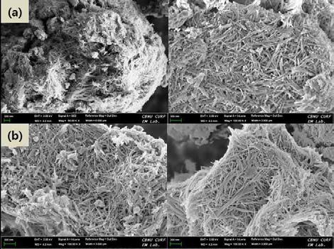 망간 전구체의 함량에 따른 MnOx/TNT 복합소재의 SEM images. (a) 5wt%, (b) 10wt%