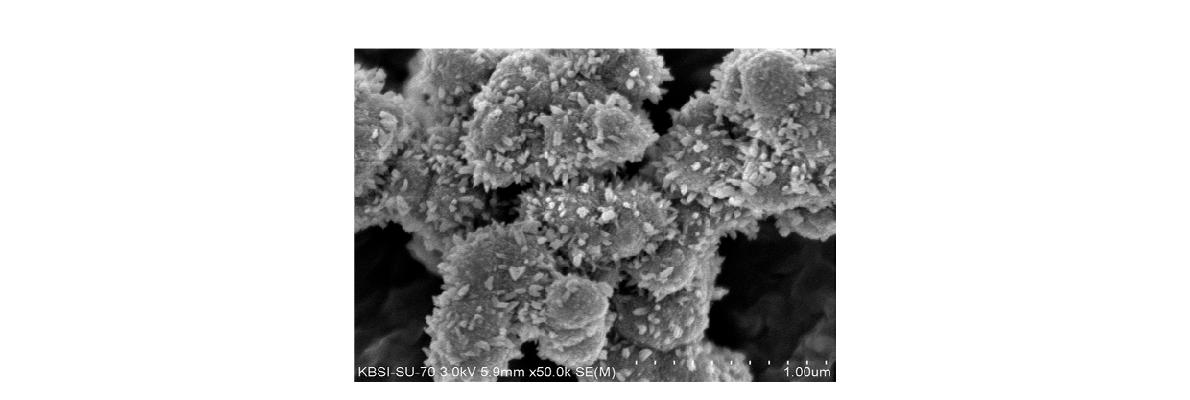 SEM image of MnO2 (Ti/Mn=0.5) synthesized at 90 oC.