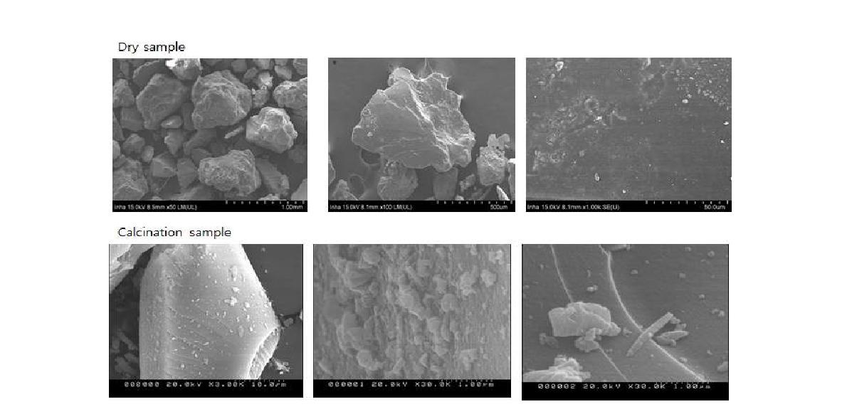 실리카 건조 샘플과 하소 샘플 SEM 이미지.