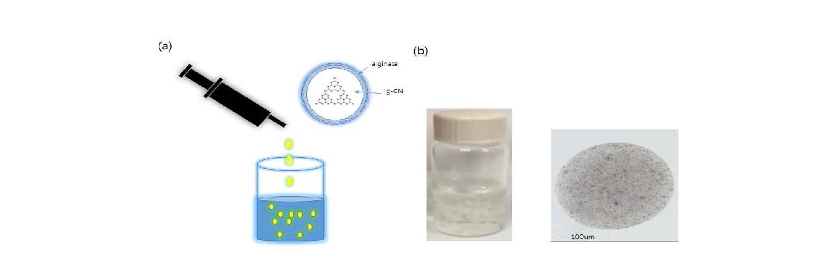 g-CN의 Encapsulation 과정 및 실제 합성한 사진.
