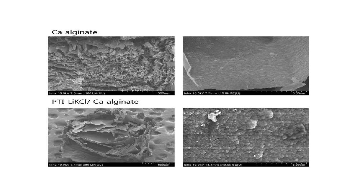 Ca-alginate bead와 PTI-LiKCl/Ca-alginate bead의 SEM 이미지.