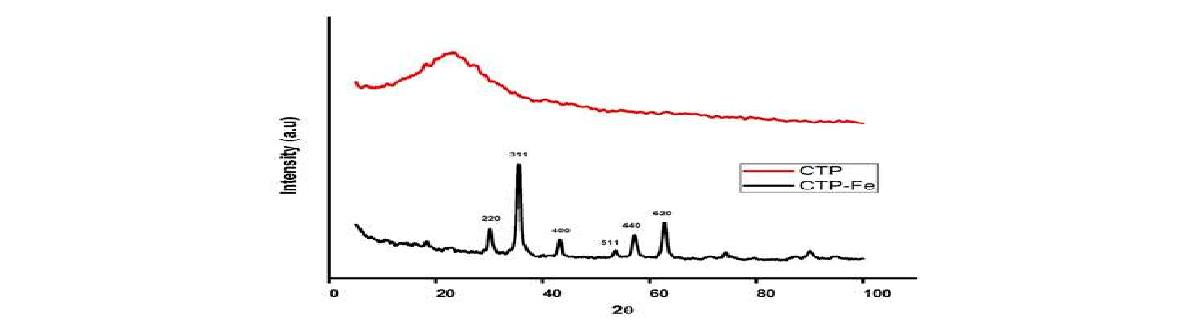 CTP와 CTP-Fe3O4의 XRD 데이터.