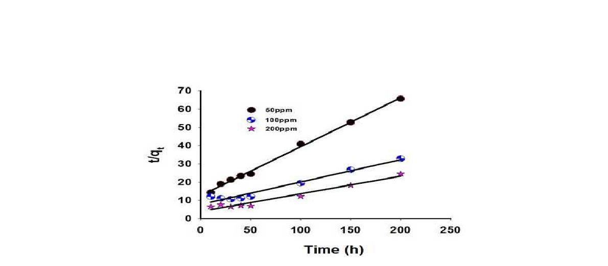 농도에 따른 Second order rate equation 그래프.