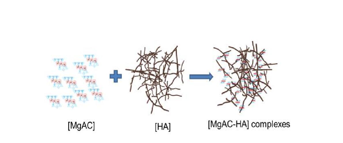 MgAC-HA 복합체 도식도.