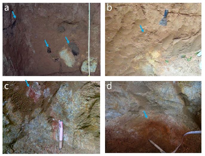Significant features to enrich REEs. (a) decomposing organic residue, (b) silicic veinlet (c) & (d) scarlet red weathered granitic basement rock.