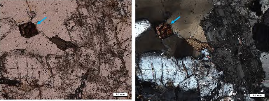 Thin section microscope images of REE minerals in a granitic rock sample.