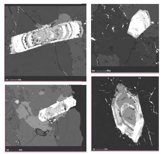 Backscattered electron scanning (BSE) images of REE minerals in the granitic rock sample.