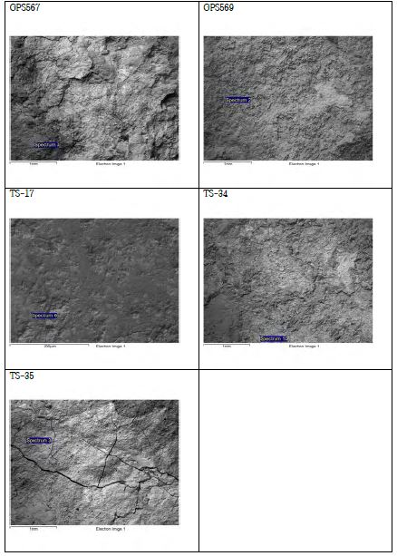 SEM-EDS analysis points for the ore samples (GPS567, GPS569, TS-17 and TS-34) obtained in Tsogttsetsii area