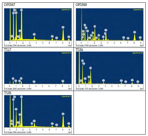 SEM-EDS analysis results for the ore samples (GPS567, GPS569, TS-17 and TS-34) obtained in Tsogttsetsii area