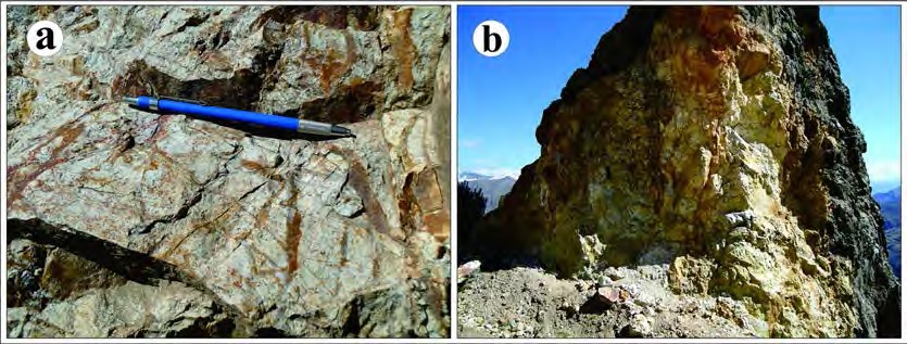 Stockwork vein (a) and high alteration zone (b)