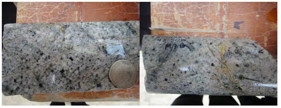 Biotite-rich monzonite porphyry(MZB) from the Ferrobamba area