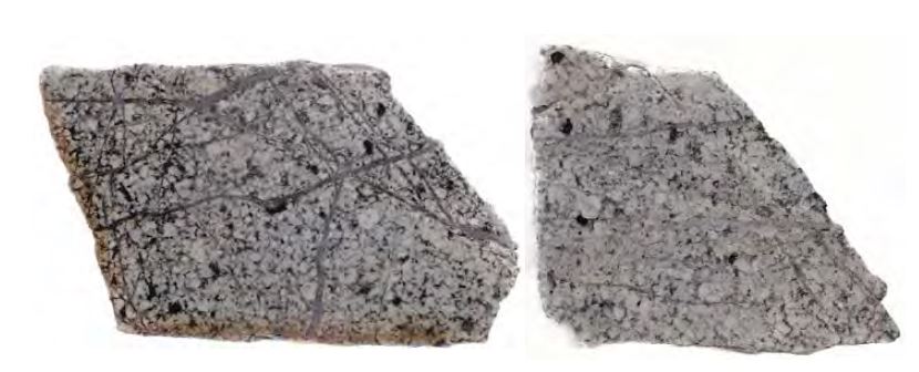 Rock slabs of biotite-fine monzonite porphyry(MBF) from the Ferrobamba area