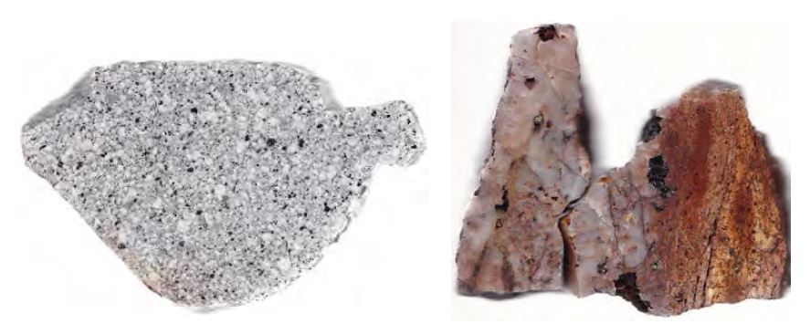 Rock slabs of quartz monzonite(MZQ) from the Ferrobamba area