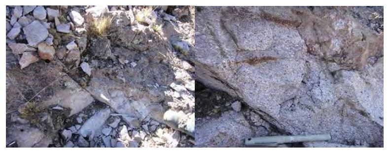 Quartz monzonite from the Pallancata mine area