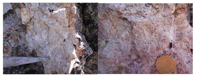 Quartz veinlets within quartz monzonite from the Pallancata mine area