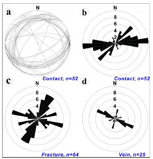Field data of contacts, fractures, and veins acquired from study area (a, b). Stereonet and rose diagram showing distribution of strikes of contact between Geologfield syenite and micro syenite. (c, d) Rose diagrams of strikes of fractures and veins for c and d, respectively.